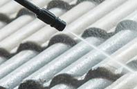 rated Litton Mill roof cleaning companies